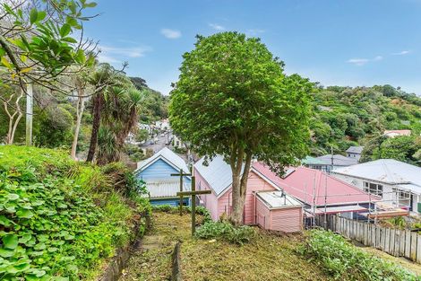 Photo of property in 207 Aro Street, Aro Valley, Wellington, 6021