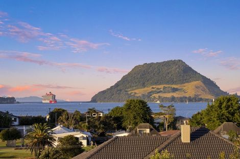 Photo of property in 65a Bureta Road, Otumoetai, Tauranga, 3110