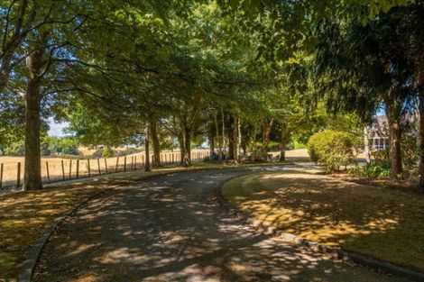 Photo of property in 568 Upper Plain Road, Upper Plain, Masterton, 5888