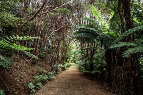 Photo of property in 183 Rangitane Road, Kerikeri, 0294