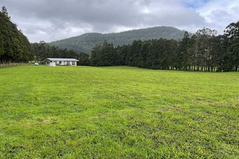 Photo of property in 805 Whangaripo Valley Road, Whangaripo, Wellsford, 0972
