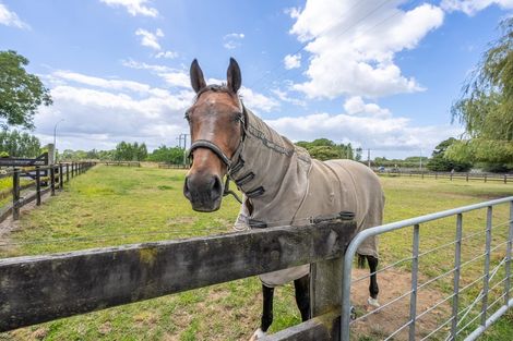 Photo of property in 193a Duncan Road, Tamahere, Hamilton, 3283