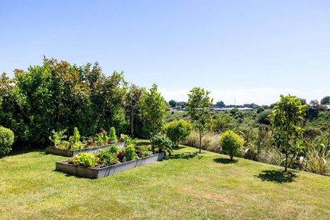 Photo of property in 56 Kingdon Street, Leamington, Cambridge, 3432