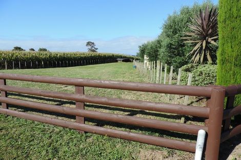 Photo of property in 135 Harper Road, Richmond Downs, Walton, 3475