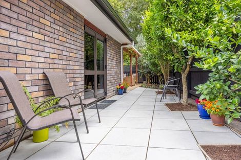 Photo of property in 19 Azimuth Place, Flagstaff, Hamilton, 3210