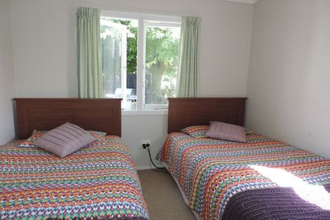 Photo of property in 55 Burwood Road, Matamata, 3400