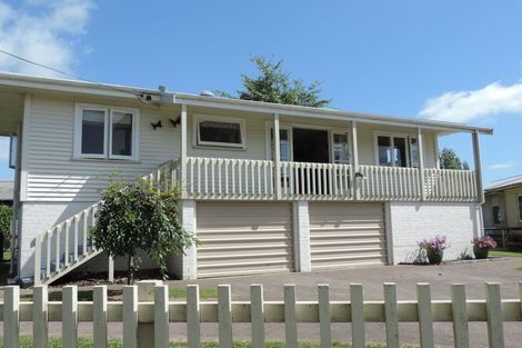 Photo of property in 55 Burwood Road, Matamata, 3400