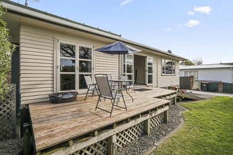 Photo of property in 392 Ruahine Street, Terrace End, Palmerston North, 4410