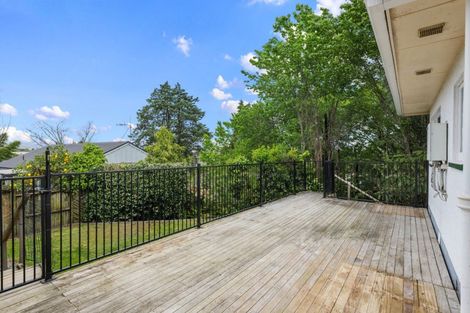 Photo of property in 43 Collingwood Street, Judea, Tauranga, 3110