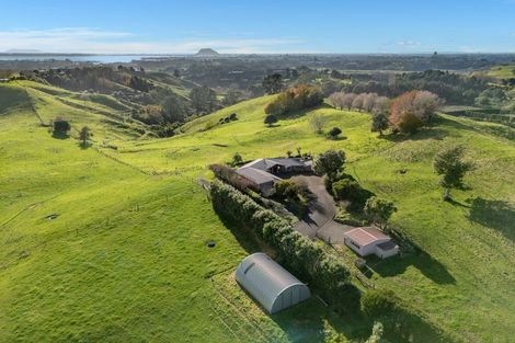 Photo of property in 164c Crawford Road, Wairoa, Tauranga, 3171