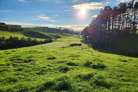 Photo of property in 144 King Road, Inglewood, 4386