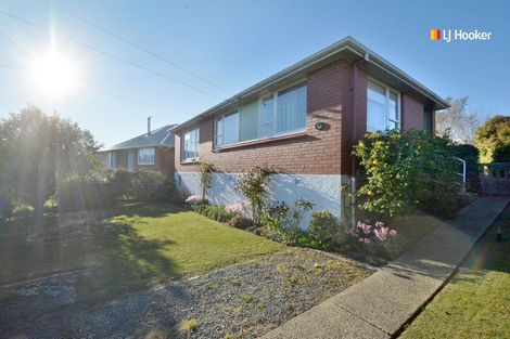 Photo of property in 113 Caldwell Street, Brockville, Dunedin, 9011