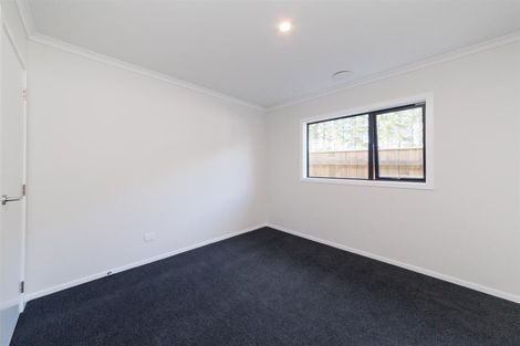 Photo of property in 53 Hereford Street, Marton, 4710