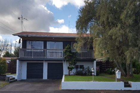 Photo of property in 133 Fitzroy Avenue, Fitzroy, Hamilton, 3206