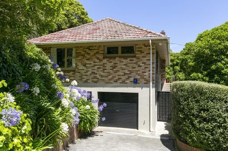 Photo of property in 6 Travers Street, Vogeltown, Wellington, 6021