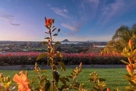 Photo of property in 12 Tobacco Hill, Welcome Bay, Tauranga, 3175