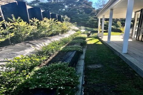 Photo of property in 81 Haigh Access Road, Redvale, Albany, 0794