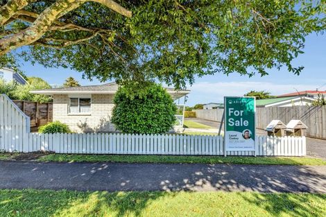 Photo of property in 44 Ballance Street, Lower Vogeltown, New Plymouth, 4310