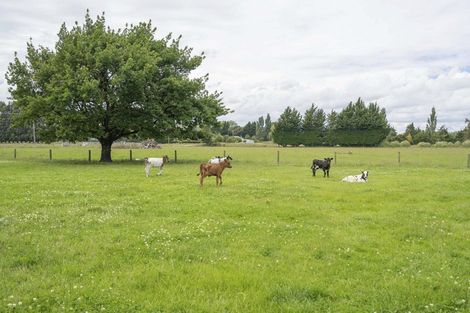 Photo of property in 16 Centre Bush Otapiri Road, Centre Bush, Winton, 9782