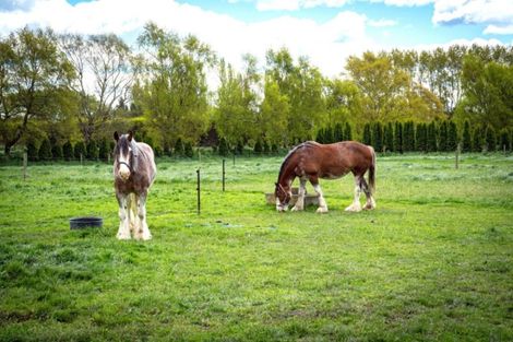 Photo of property in 14 Arowhenua Station Road, Kerrytown, Timaru, 7973
