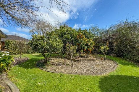 Photo of property in 48 Tower Road, Matamata, 3400