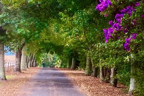 Photo of property in 2 Ascot Downs, Kerikeri, 0230