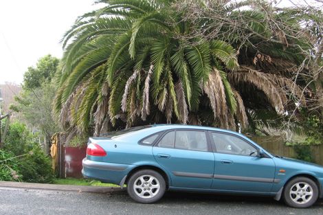 Photo of property in 54 Stillwater Crescent, Stillwater, Silverdale, 0993