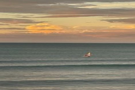 Photo of property in 43 Messenger Terrace, Oakura, 4314