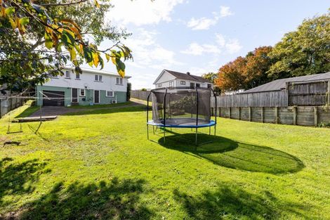 Photo of property in 301 Fraser Street, Te Awamutu, 3800