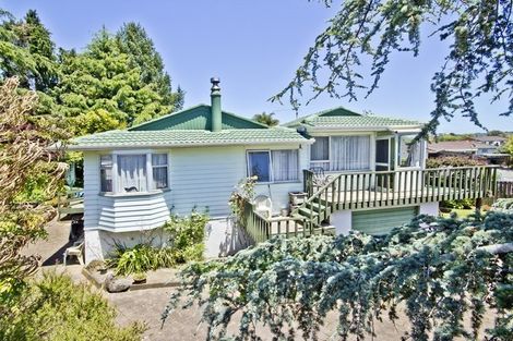 Photo of property in 35 Larissa Avenue, Henderson, Auckland, 0610