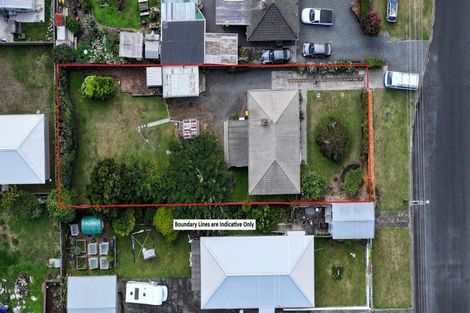 Photo of property in 24 Marchant Street, Putaruru, 3411