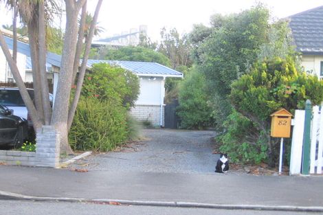 Photo of property in 82 Nelson Crescent, Napier South, Napier, 4110