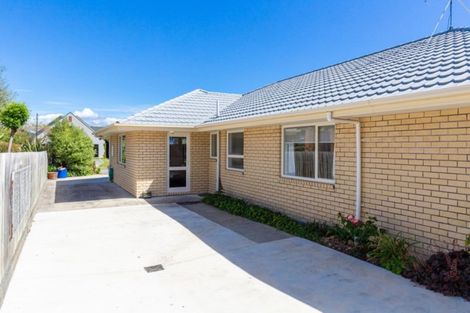 Photo of property in 49 Hillcrest Avenue, Witherlea, Blenheim, 7201