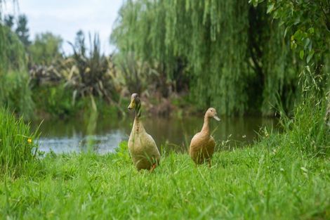 Photo of property in 56e Te Puna Road, Te Puna, Tauranga, 3174