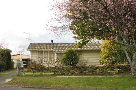 Photo of property in 13 Paehoro Grove, Turangi, 3334