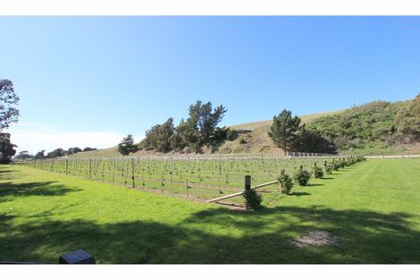 Photo of property in 265 Cable Station Road, Blind River, Seddon, 7285