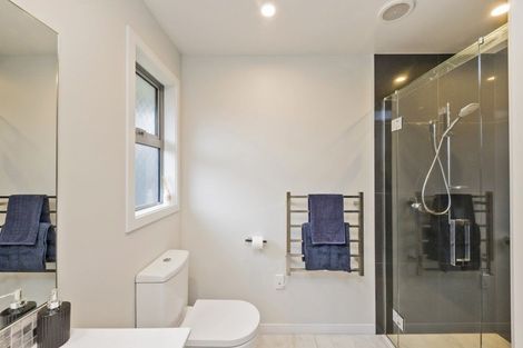 Photo of property in 96a Limbrick Street, Terrace End, Palmerston North, 4410