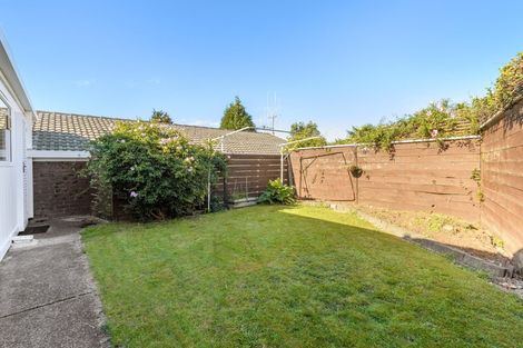 Photo of property in 22b Sixth Avenue, Tauranga, 3110