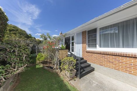 Photo of property in 477a Mount Albert Road, Mount Roskill, Auckland, 1042