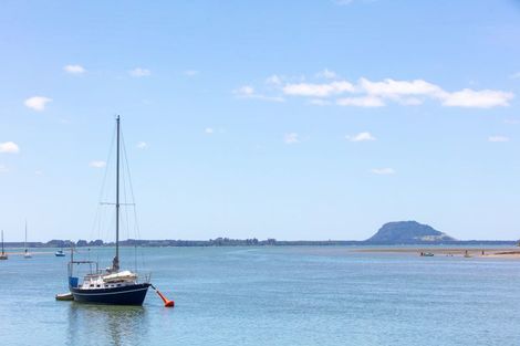 Photo of property in 248 Plummers Point Road, Whakamarama, Tauranga, 3172