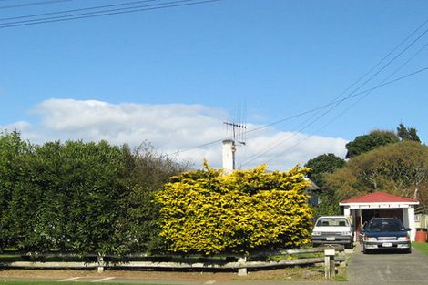 Photo of property in 6 Middlesex Street, Levin, 5510