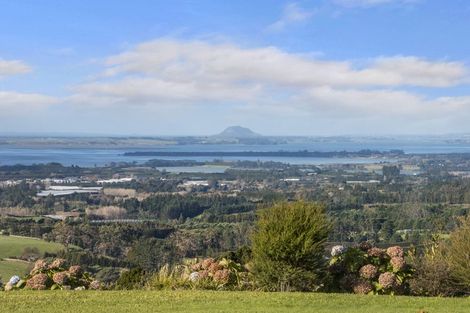 Photo of property in 410f Busby Road, Tahawai, Katikati, 3170