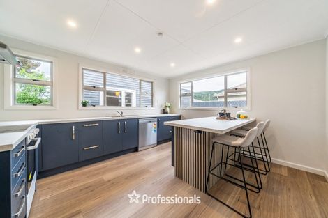 Photo of property in 41 Merton Street, Trentham, Upper Hutt, 5018