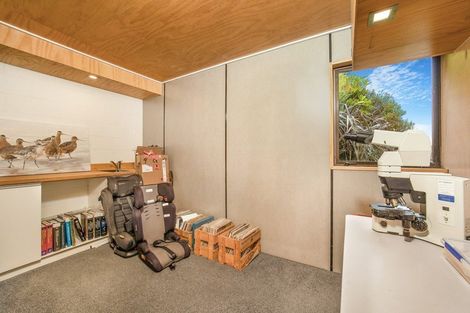 Photo of property in 1 Everton Road, Andersons Bay, Dunedin, 9013