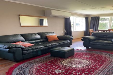 Photo of property in 63 Totara Street, Putaruru, 3411