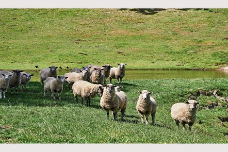 Photo of property in 921 Ngakoroa Road, Ormond, Gisborne, 4071