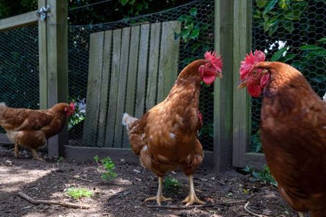 Photo of property in 9b Kenrick Road, Pukehangi, Rotorua, 3015