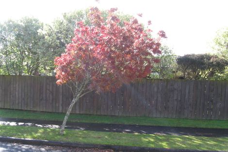 Photo of property in 1 Sheffield Place, Botany Downs, Auckland, 2010