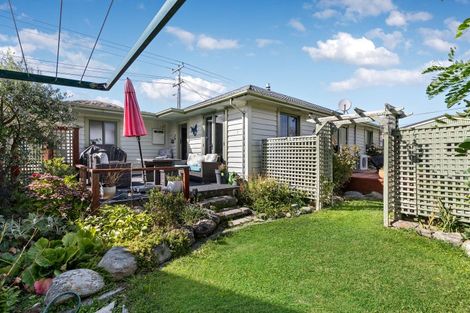 Photo of property in 15 Blyth Street, Cromwell, 9310