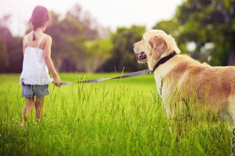 Photo of property in 138 Taupaki Road, Taupaki, 0782